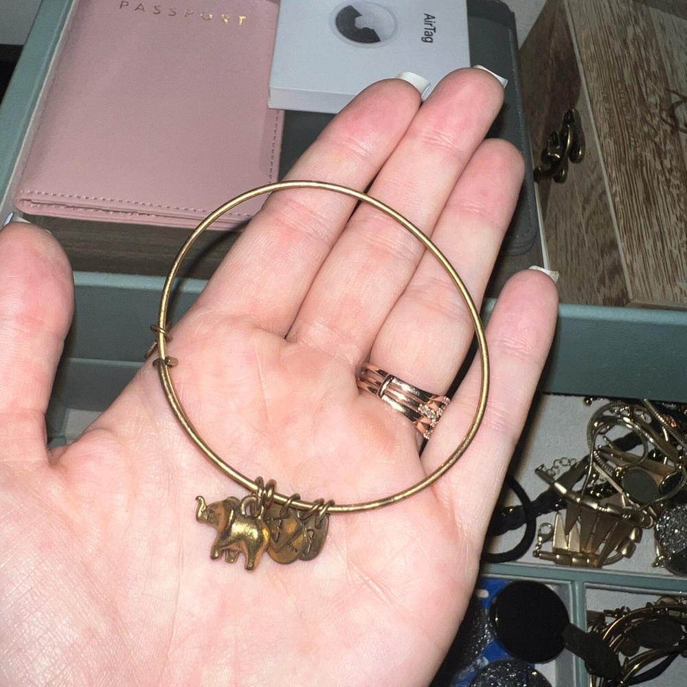 Two Alex and Ani bracelets